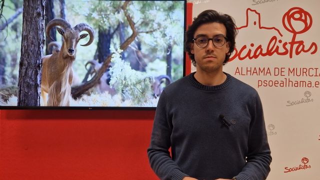 El PSOE se suma al manifiesto en contra de la caza deportiva del arruí en Sierra Espuña