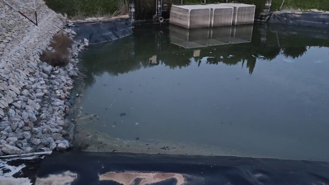 El lago de Condado de Alhama sigue insalubre por la inacción del Gobierno local