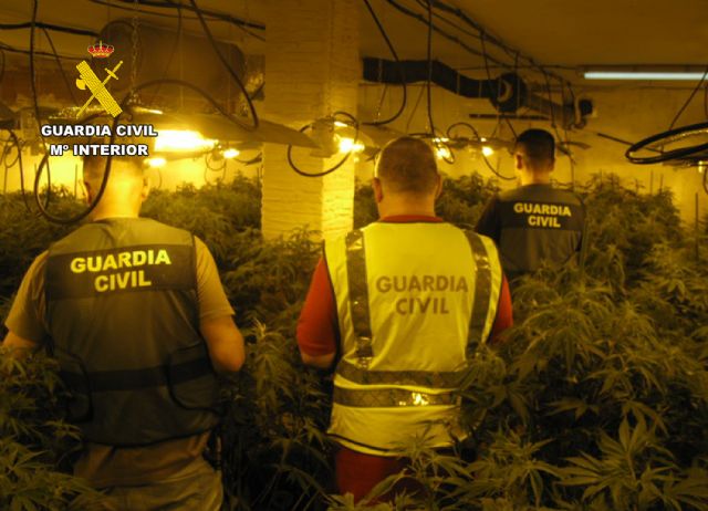 La Guardia Civil desmantela en Alhama de Murcia un grupo delictivo que cultivaba marihuana